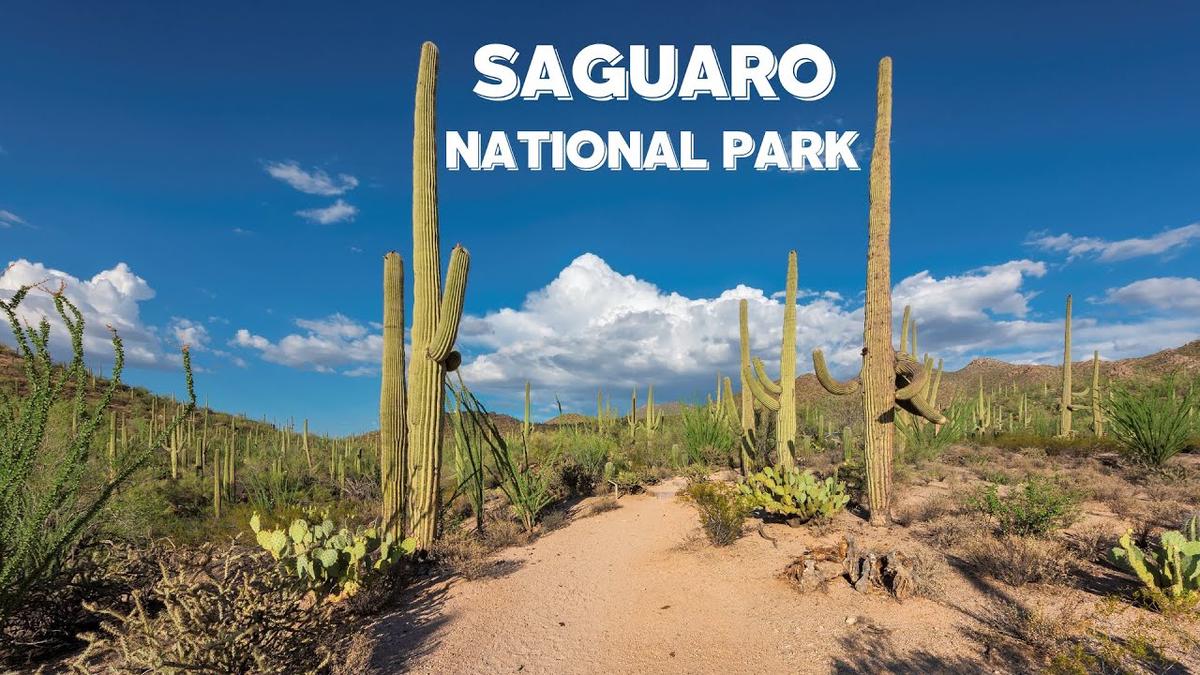 'Video thumbnail for Saguaro National Park Hiking and Boondocking Tips'