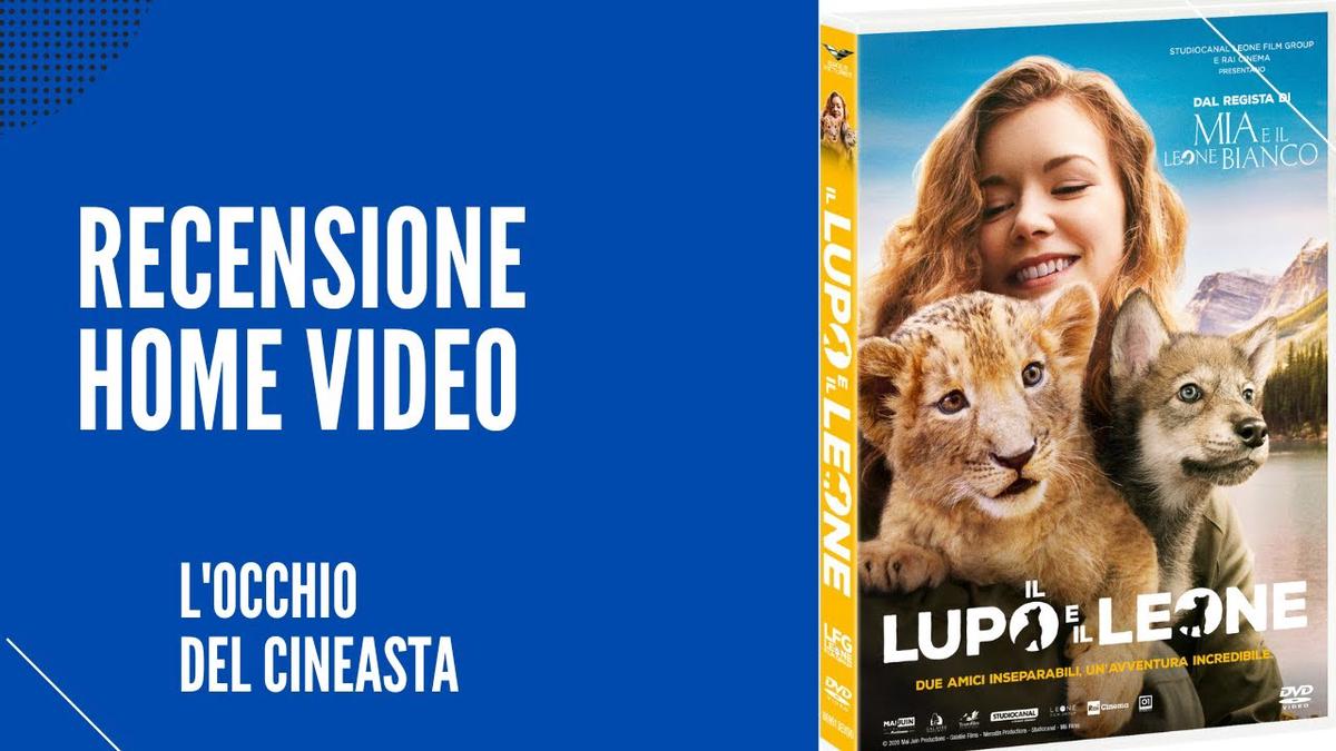'Video thumbnail for Unboxing/recensione dell'Home video Il lupo e il leone (DVD) - Maggio 2022'