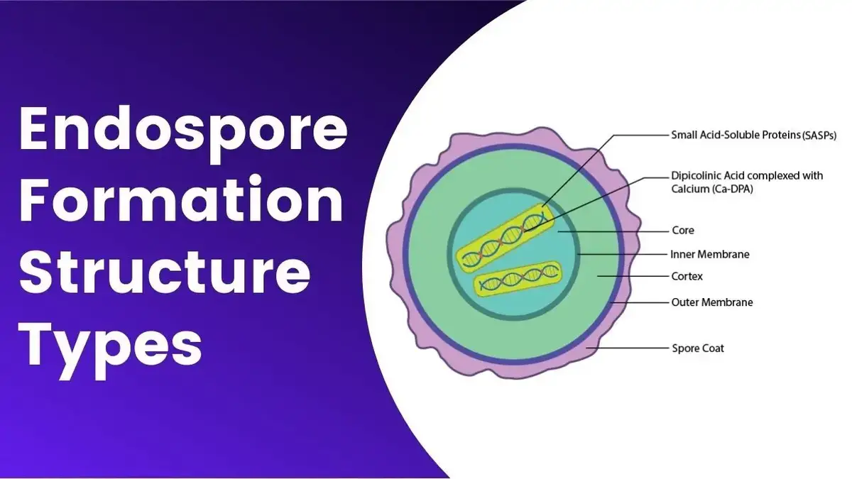 How to identify Staphylococcus aureus using the Coagulase Test - Slide and  Tube Method - 4K 