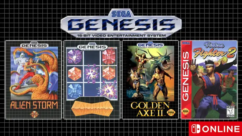 Buy Sonic Classic Heroes Sega Genesis Repro Game Cart Online in India 