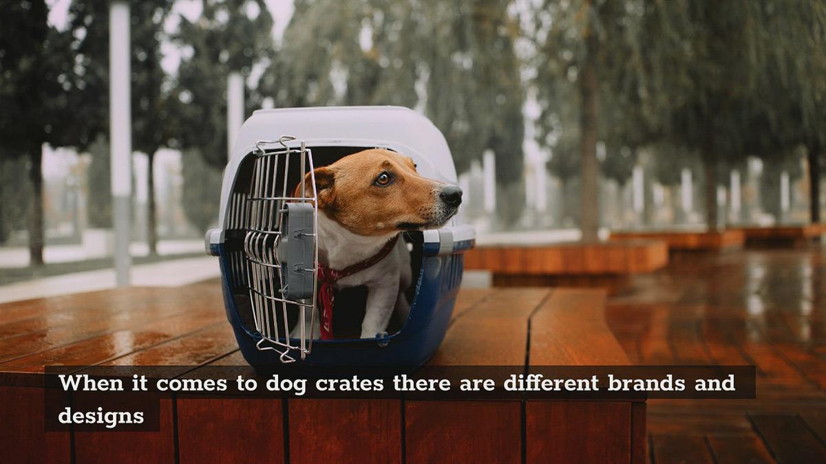 'Video thumbnail for Dog Crates - Is this dog crate the right size for my dog? '