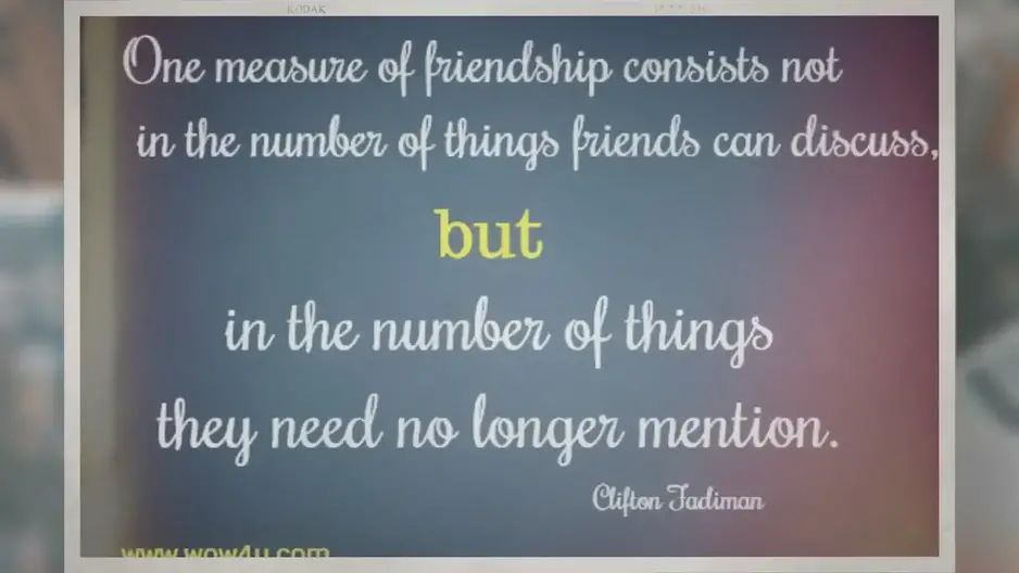 436 Best Friendship Quotes Celebrating Support and Loyalty